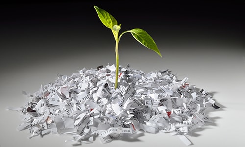 Recykling papieru zmniejsza negatywny wpływ na środowisko